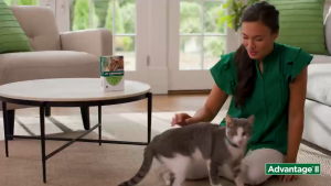 Bayer Advantage Cat Spot On /Flea Treament /Ubat Kutu Kucing  S (0.4ml x 4 Pipet) OR M (0.8ml x 4 Pipet) 宠物猫除蚤滴液