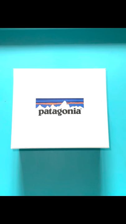 Patagonia coin online purse