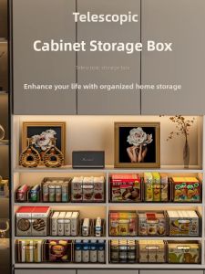 XUNHUAI | Expandable Drawer-style Storage Box