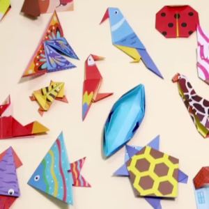 Origami Paper Set 96-208Pcs Craft Paper Kit with Instructional Book Art Projects Supplies for School Class Craft Lessons Gifts