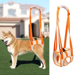 SPDD Sling Plush Support Hind Leg Pet Auxiliary Belt: A Solution for Your Dog's Mobility