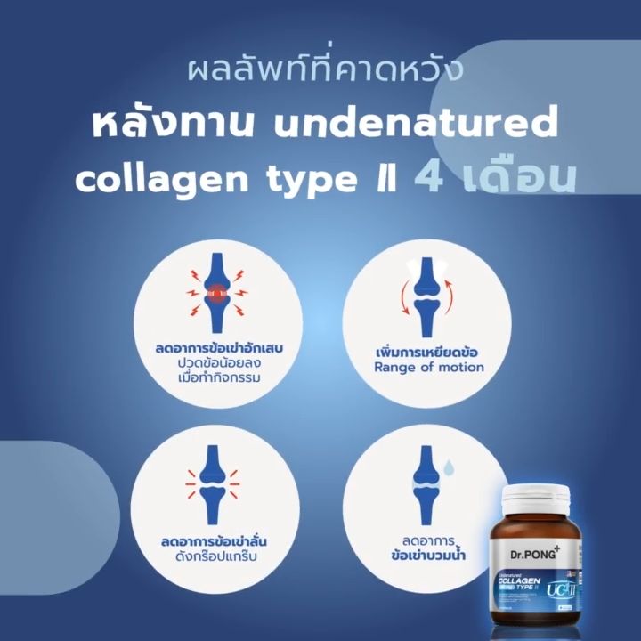 Dr Pong Undenatured Collagen Type Ii Mg