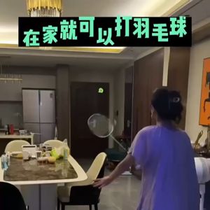 Suspended badminton indoor and outdoor single training device for one person to play badminton