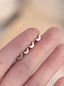 1 Pc 20G Stainless Steel Ear Stud Flower Earring Lobe Ear Piercing Helix Stud Earring Heart Earring Silver Body Jewelry