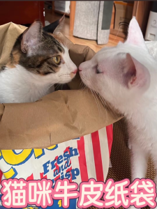 Temporary Cat Toy Hideout Self Entertaining Leather Paper Bag Catnip Included Teeth Cleaning Dental Health Interactive Playtime