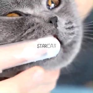 SC Sikat Gigi Jari Hewan Kucing Silikon Pembersih Grooming