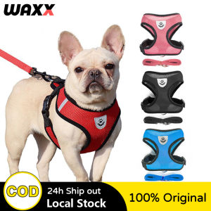 Free Leash Pet Leash Dog Harness Leash Mesh Collar Leash Strap Complete Set Pet Adjustable Leash Belt Traction Rope
