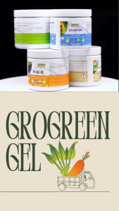 200gm/1kg/5kg Starter Fertilizer for Young Plants (Vegetables Fruits Flowers Farms) | Agroniche / Grogreen