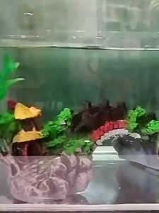 [SIZE LỚN]- Cầu Giả Mini Decor Bể Cá- Tiểu Cảnh Cầu và Chòi Mini Phong Cảnh Hồ Cá