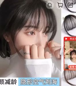 Hairclip Poni Tipis Korea AESRORA Hairclip Poni Extension Hairclip Korea Natural R8
