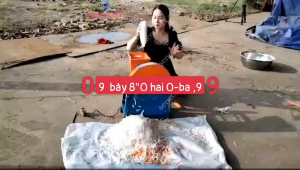 Máy thái sợi các loại củ quả miễn ship