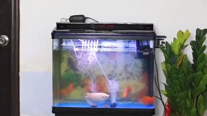 Outdoor solar-powered oxygenator pump Long-lasting running aquarium oxygen pump