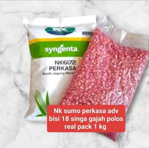 benih bibit jagung Hibrida  nk perkasa sumo 212   adv pioner 32 polos an 2026