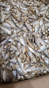 IKAN ASIN SELAR CUE REBUS MURAH