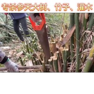 【Direct root killing !】racun rumput paling kuat cepat mati tree killer racun pokok paling kuat Concentrate Formula weed killer racun rumput paling kuat murah Does not harm the soil racun pokok kayu besar racun rumput mati akar 除草 racun bunuh pokok besar