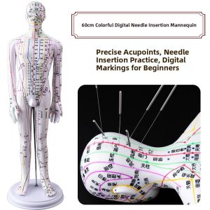Acupuncture Point Model Chart Full Body Ultra Clear Practice Human Figure Needle Placement Chinese Traditional Medicine