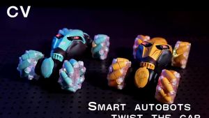 Mainan Anak RC Remote Control Smart Twist Stunt Car