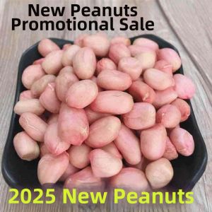 Fresh Shahuang Peanuts Peeled