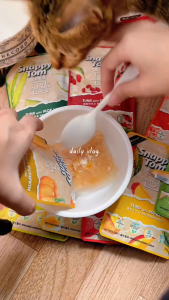 【COMBO 10 GÓI】🐱 Pate Snappy Tom Trái Cây Cho Mèo 85g – Dễ Ăn Bổ Sung Nước