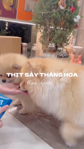 Thức ăn sấy thăng hoa Umami+ cho chó Bone Appetit đậm vị thịt tươi (túi 50gr) bánh thưởng cho chó - Sumiho Pet Boutique