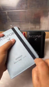 Korean version of simple RFID passport bag solid color zipper card bag air ticket multi-function P
