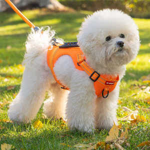 Pets Chest-Back Dog Chest Strap Walking Dog Hand Holding Rope Corgi Teddy Medium-Sized Dog Puppy Vest Explosion-Proof Collar