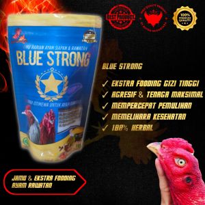 Blue Strong Jamu Ekstra Fooding Ayam Bangkok Aduan Agar Sehat Nafas Panjang Dan Merah Merona.