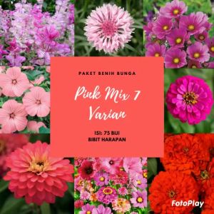 Benih Bibit Biji Bunga Pink Mix 7 Varian Bibit Unggul