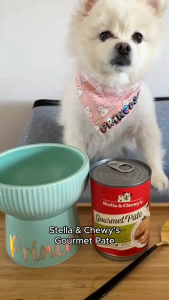 Stella & Chewys Gourmet Pate & Stew Dog Wet Canned Food 12.5oz (354g) - 7 Recipes