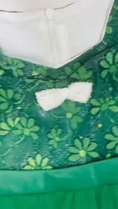 Comel Princess Long Sleeve Elegant Ball Gown Tulle Flower Girl Princess Dress 儿童长袖晚装