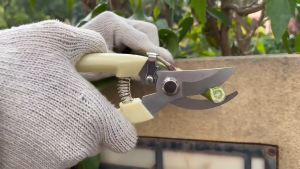 Gunting Dahan Ranting & Peralatan Berkebun: Panduan Lengkap