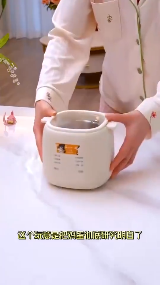 🇸🇬 [READY STOCK] Automatic Egg Cooker Electric Egg Boiler Egg Maker Cooker Breakfast Steamer Auto Power-off 6 Modes Of Temperature Intelligent egg boiler automatic power off household small hard boiled egg maker