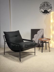 Ghế thư dãn VAIL CHRONE LOUNGE CHAIR nhập khẩu ghế lười đọc sách khung thép đệm da Denver Modern