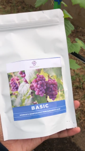 Pupuk Basic Anggur - Awal Pertumbuhan
