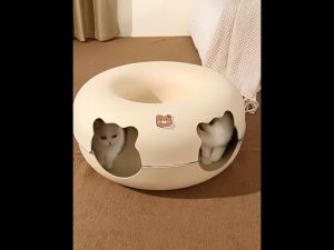 รุ่นใหม่ ที่นอนแมวทรงโดนัท อุโมงค์สำหรับแมว ผ้าสักหลาด รูปหน้าหมี ขนาด 60x60x28cm.