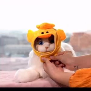 หมวกหมาหมวกแมว หมวกการ์ตูน หมวกสัตว์เลี้ยงใส่แบบน่ารัก เหมาะสำหรับพันธุ์เล็ก(พร้อมส่ง)