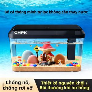 Bể Cá Tự Hoàn Chuyển Không Cần Đổi Nước