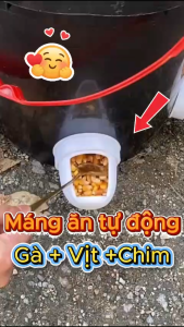 🐔 Máng ăn uống tự động cho gà vịt ngỗng – Chống mưa nắng tiết kiệm chi phí chăn nuôi