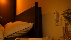 ไฟกลางคืน การควบคุมระยะไกล ราคาเสริม สมบูรณ์ ริ้วรอย ขนาดเล็ก แบบเสียบปลั๊ก TW-L25 ประหยัดพลั๊กงาน