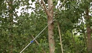 🔥Malaysia In Stock🔥6 Meter Telescopic Fruit Picker Pole Gardening Tools High Pruning Branch Shear Saw Tree Cutter Fruit picking bag Sickle head Branch hook Betel nut knife Hand Saw blade gergaji dahan gunting pokok kayu Galah Pengait buah moden