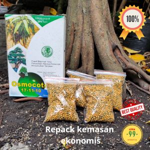 Pupuk Dekastar Osmocote 17-111-10: Berkualitas Tinggi untuk Tanaman Bonsai Bunga dan Sayur