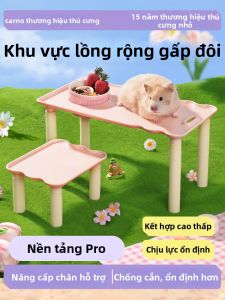 CARNO | Nơi Ẩn Náu Giải Trí Cho Hamster Mùa