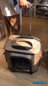 กระเป๋าใส่สัตว์เลี้ยงทรงสี่เหลี่ยมลากได้ขนาดใหญ่