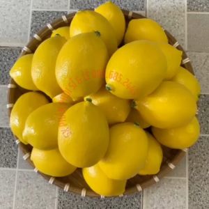 Trái Giả Trái Chanh Vàng (5X7 cm) mô hình Việt Nam công nghệ Thái Lan GIỐNG THẬT 99%- Dùng trang trí nhà cửa hàng quán decor chụp ảnh C