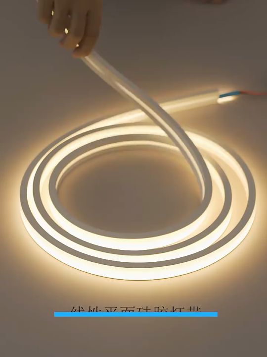 【BUY 1 TAKE 1】 LED Light Strip Outdoor Waterproof Light Strip Low