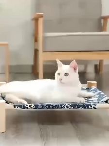 เตียงนอนไม้สำหรับสัตว์เลี้ยง ที่นอนแมว บ้านแมว เตียงไม้แมว อุปกรณ์สัตว์เลี้ยง เปลนอนสำหรับสัตว์เลี้ยง เปลนอนสัตว์เลี้ยง