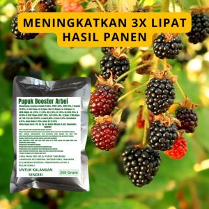 Pupuk Booster Arbei: Cara Meningkatkan Produksi Buah