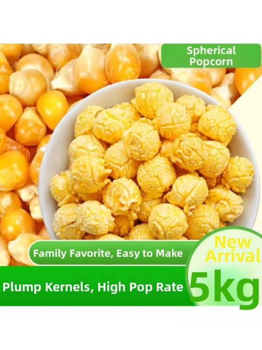 Spherical Popcorn Suitable Corn Kernels 2500g | Lazada Philippines