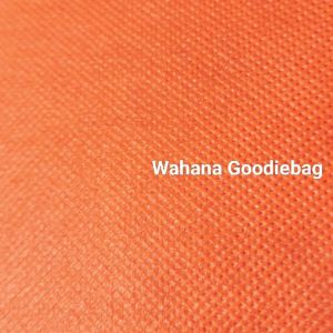 (isi 12pcs)Goodiebag Hampres Murah 25x35 Tas belanja/Tote bag /Tas Spundbond Kain 55Gsm