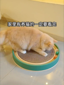 Round Cat Scratching Board with Ball Multi Function Toy Cat Scratcher Funny Sharpen Nails Scraper Can Replace Scratch Nest for Cats